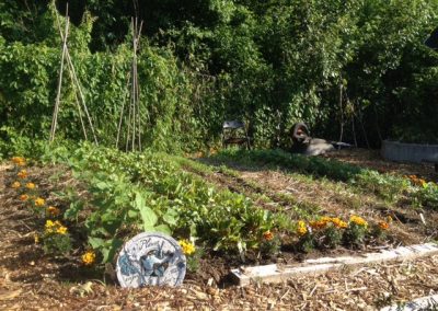 Large community garden