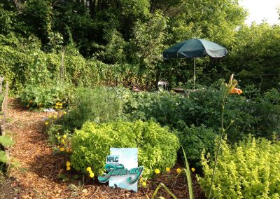 Plants Growing in Farm-acy Garden