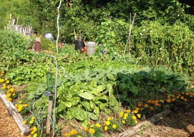 Large community garden